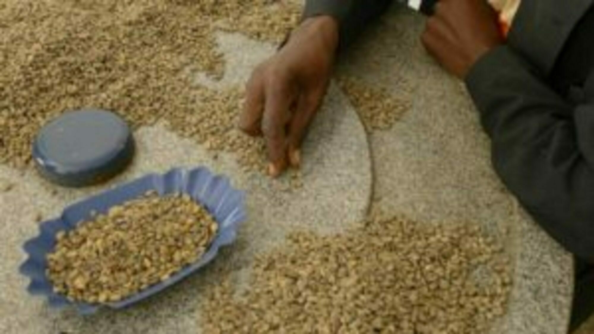 Pourquoi choisir un café équitable pour une expérience authentique ?