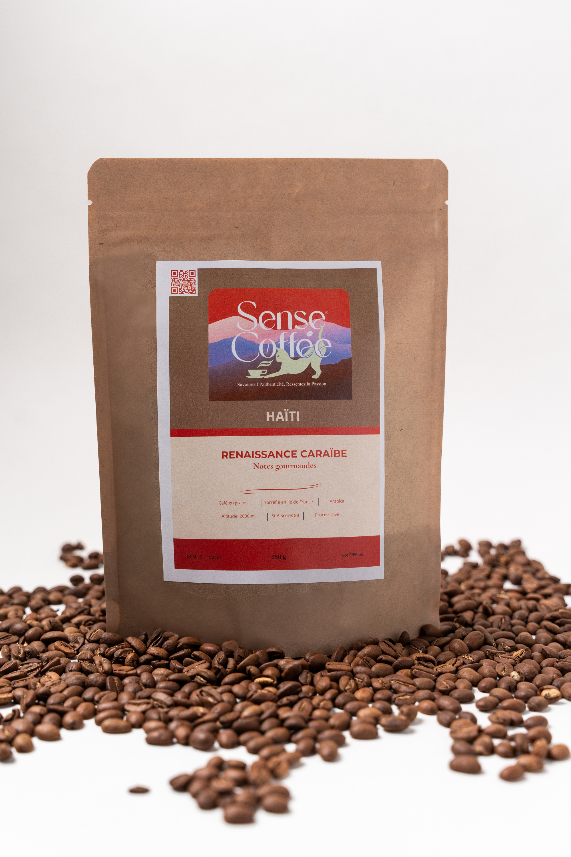 Renaissance Caraïbe – Image 2